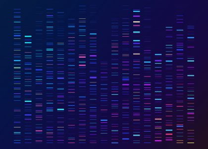 image DNA Sequencing Gel